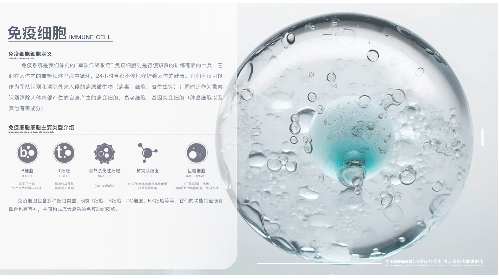 网站最新分列一-07_03.jpg