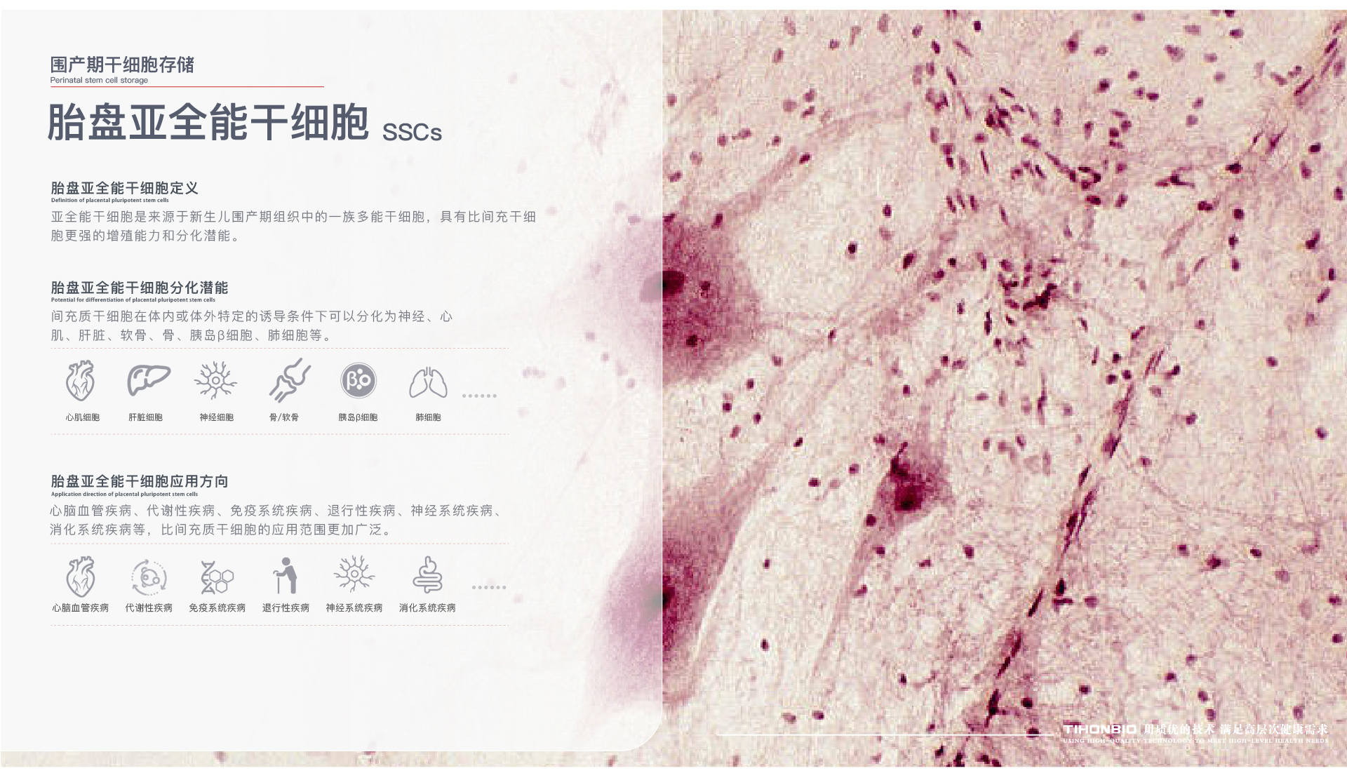 网站最新分列一-06_05.jpg