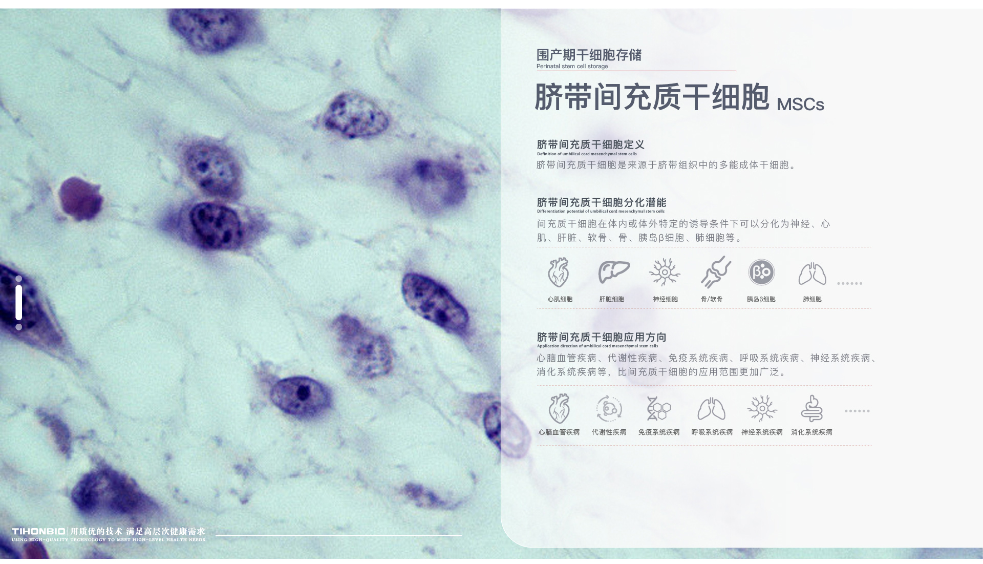 网站最新分列一-06_04.jpg