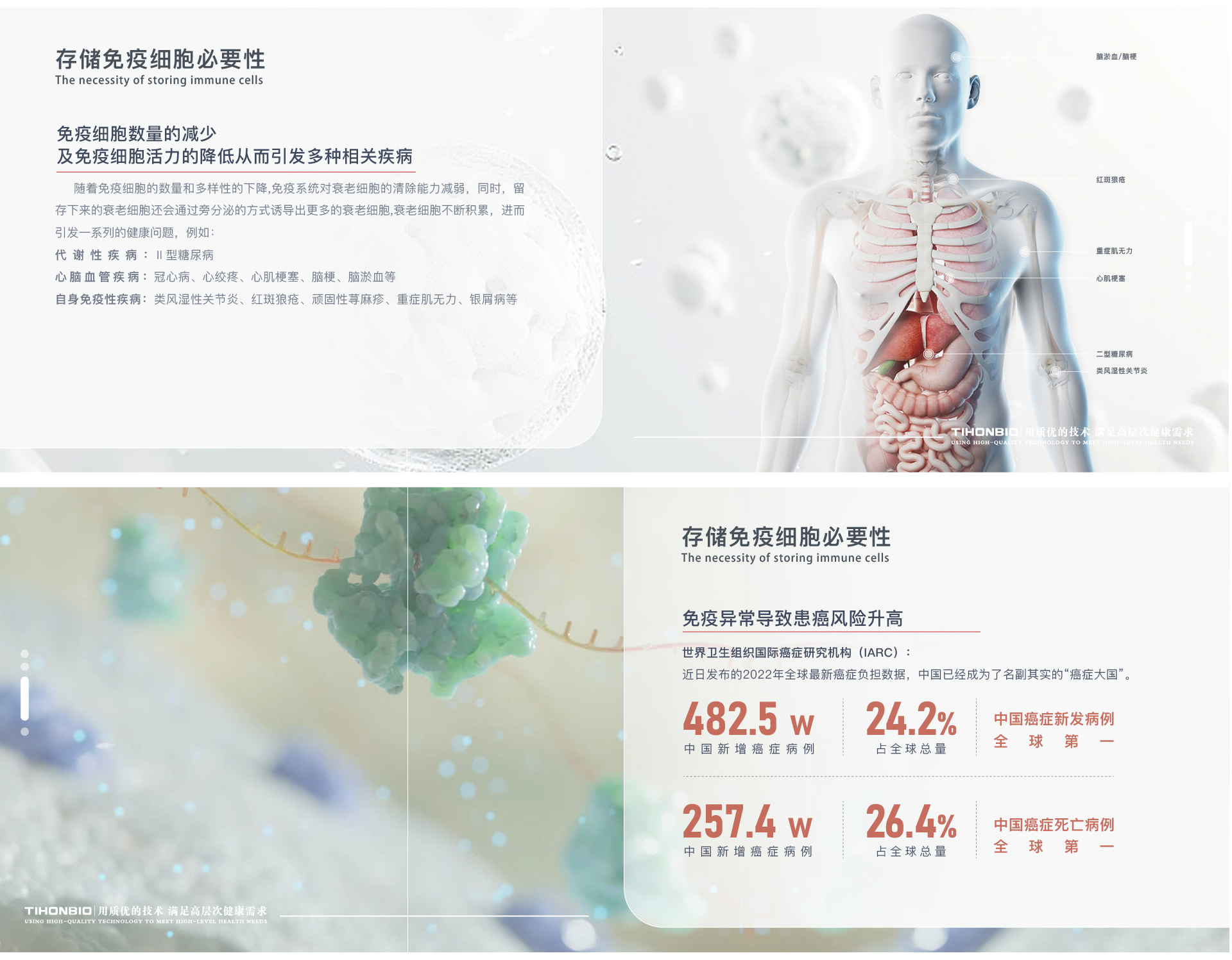 网站最新分列一-07_05.jpg