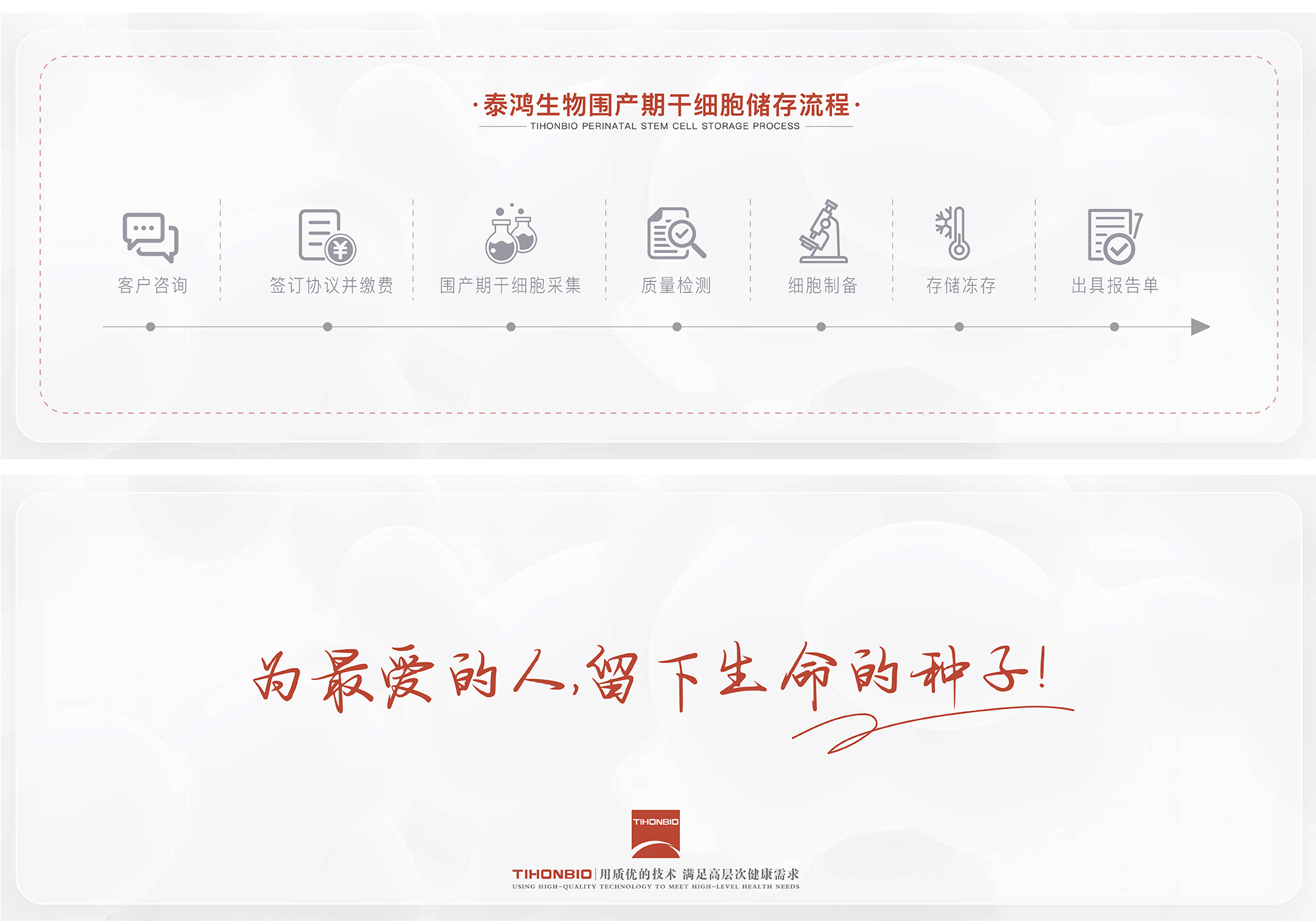 围产期干细胞-06.jpg